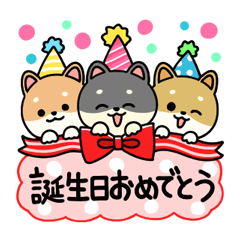 [LINEスタンプ] 柴犬の誕生日＆お祝い＆ありがとう