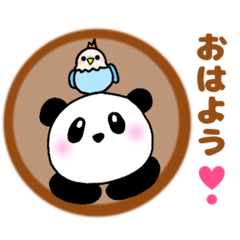 [LINEスタンプ] ぽちゃ可愛いパンダさん☆毎日使える日常語の画像（メイン）